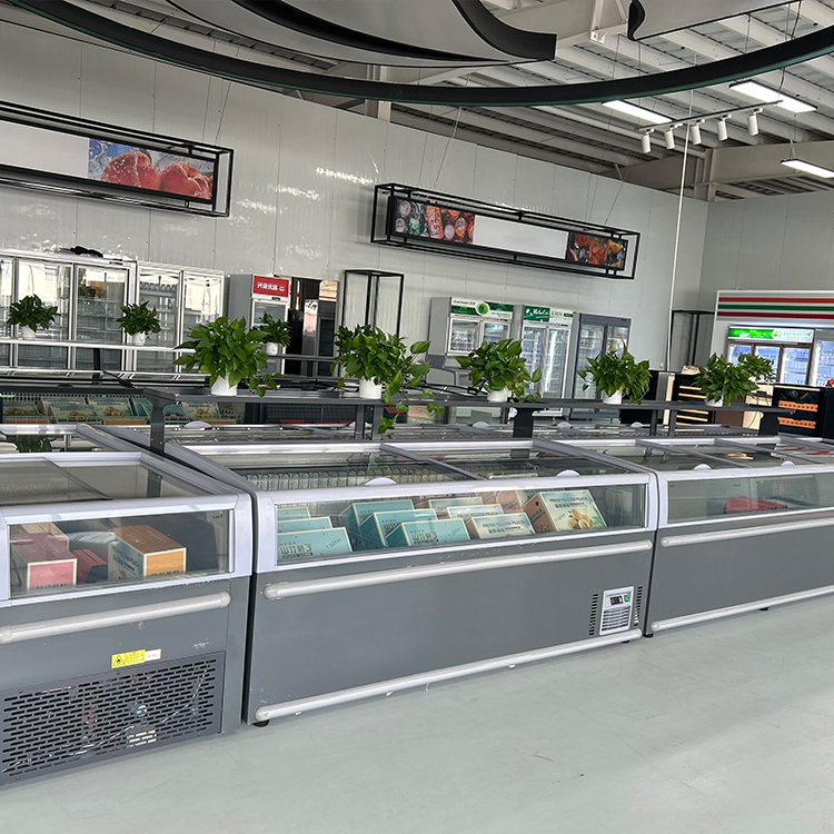 ตู้แช่แข็งแบบเกาะพร้อมประตูกระ - Commercial Chest Freezer บทวิจารณ์และราคา