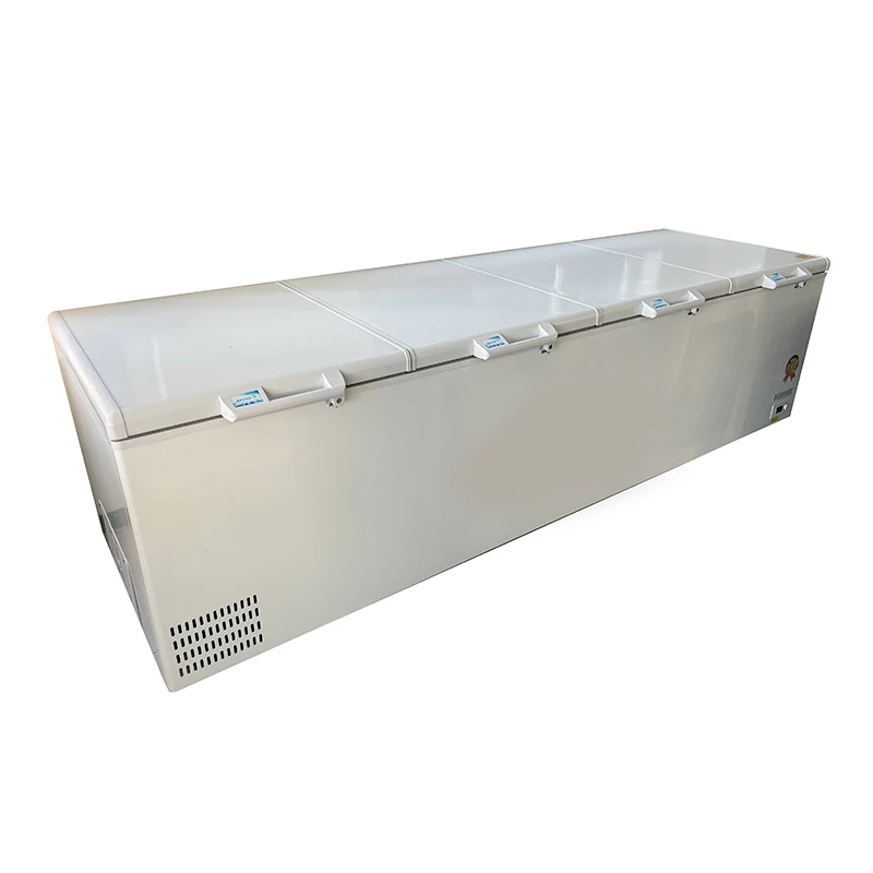 # ตู้แช่แข็งขนาดใหญ่ 1300 ลิตร - Commercial Chest Freezer บทวิจารณ์และราคา
