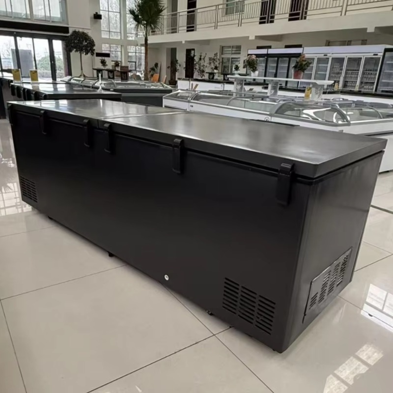 ตู้แช่แข็งแบบแนวนอน ประตูคู่ ข - Commercial Chest Freezer บทวิจารณ์และราคา